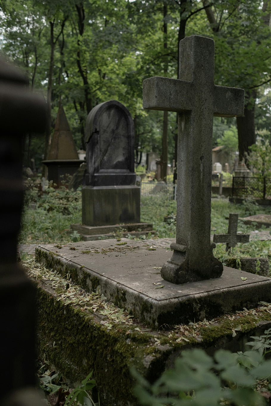 grave, cross tombstone, moss-covered, old cemetery, trees, cemetery cross, tombstone, cemetery, nature, outdoor, stone cross