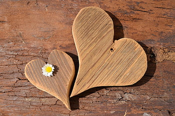 love, heart, valentine's Day, thank You, wooden Heart, happy Mothers Day, daisy, decoration, romantic, symbol, close Up