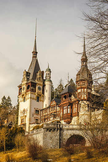 bástya vár, Prahova megye, Románia, történelmi vár, erdő háttere, Sinaia, építészeti mérföldkő, Európai kastély, téli táj, kőfalak