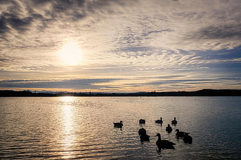 ammersee, jezero, voda, bavaria, Německo, krajina, Příroda, odraz, soumrak, mraky, západ slunce