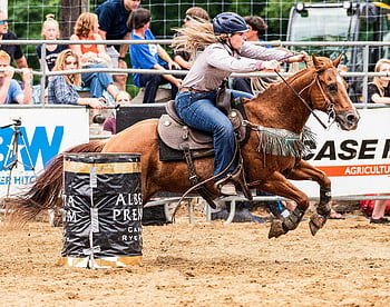 kovbojka, Rodeo událost, jízda na koni, nabitý akcí, barel závody, žena v pohybu, Rodeo Arena, jezdecký sport, závodní jízda, Západní událost, Sledování publika