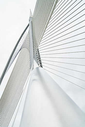 bridge, low angle, modern suspension bridge, steel cables, architectural lines, cloudy sky, structural design, urban infrastructure, engineering marvel, minimalistic architecture, cable-stayed bridge