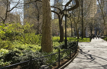 Central Park, New York City, sunny spring day, lush greenery, skyscrapers, black metal fence, person walking, daytime, park pathway, trees, lamp post