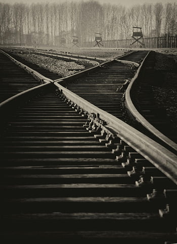 black and white, train tracks, railroad tracks, merging tracks, misty trees, background trees, black and white photography, railway, distance view, monochrome image, railway tracks