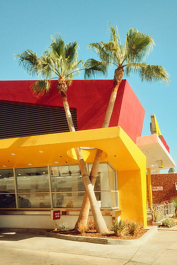 In-N-Out Burger, Los Angeles, vibrant exterior, colorful facade, palm trees, restaurant, yellow and red, California, fast food, outdoor dining, urban setting