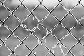 fence, bars, cold, winter, ice, grid, pattern, monochrome, frost