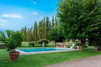 piscina, giardino, albero, natura, estate, acqua, nuoto, viaggio, vacanza, lusso, villa