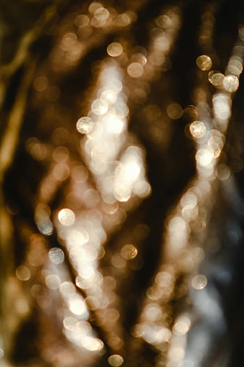 abstract bokeh, warm light reflections, vertical composition, white light reflections, bokeh effect, abstract photography, light bokeh, warm bokeh, vertical bokeh, light reflections, abstract art