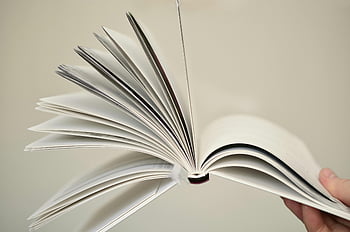 otevřená kniha, detail, stránky létají, znalost, učení se, čtení, literatura, vzdělání, studie, stránky knihy, kniha páteře