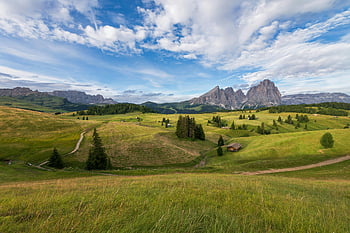 Alpe di Siusi, Dolomites, lush green fields, mountain view, Italy, vivid sky, grassland, towering mountains, natural landscape, scenic view, summer scenery