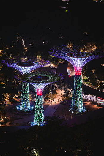 zahrady u zálivu, supertree háj, svítí, noc, singapore, venkovní, atrakce, mezník, Příroda, park, architektura