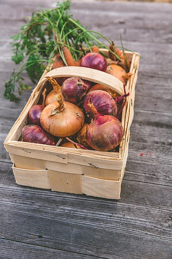 carote fresche, cipolle fresche, cestino rustico, tavolo di legno, la stagione del raccolto, fattoria fresca, verdure biologiche, tuberi, mangiare sano, cibo locale, prodotti stagionali