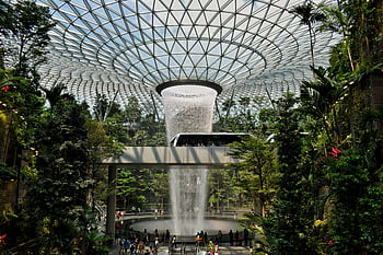 aeroporto di changi, Singapore, Vortex di pioggia HSBC, aeroporto gioiello changi, cascata, vista mozzafiato, giardino interno, destinazione del viaggio, Marvel architettonico, piante tropicali, cupola di vetro