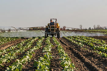 farmer, tractor, spraying, crops, fertilizer, rural, agricultural, field, plants, nawożenie roślin, polu