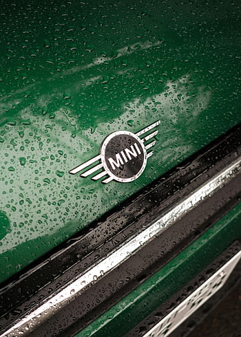 Mini Cooper, MINI logo, green hood, raindrops, close-up, Minato City, Tokyo, car emblem, detailed shot, wet surface, automotive branding