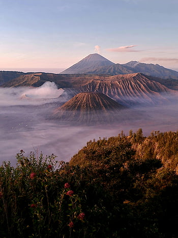 montare bromo, paesaggio nebbioso, Alba, bromo tengger semeru national park, vista panoramica, terreno vulcanico, mattino nebbioso, scenario naturale, picco di montagna, destinazione del viaggio, avventura all'aria aperta