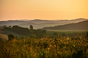 krajina, louka, scenérie, scénický, les, stromy, listy, Příroda