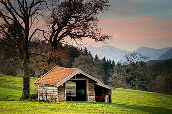 Grange, cabane, cour de ferme, paysage, maison, pellicules, bois, Prairie, cabane en bois, la nature, bâtiment