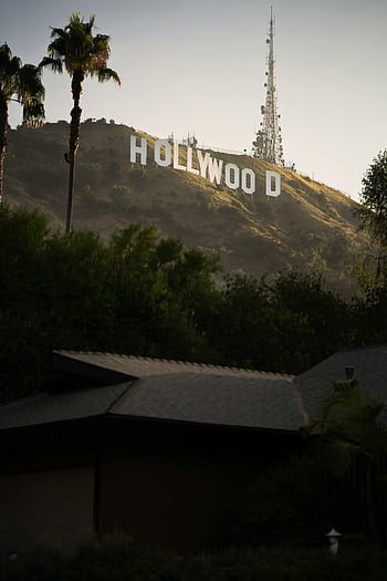 Hollywood Sign, Los Angeles, California, hilltop, palm trees, sunlit view, famous landmark, outdoor scenery, Hollywood Hills, tourist attraction, iconic sign