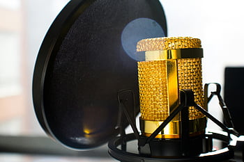Microfono color oro, microfono a condensatore nero, foto ravvicinata, microfono da studio, filtro pop, attrezzatura per la registrazione, attrezzatura di trasmissione, microfono d'oro, microfono nero, registrazione in studio, Microfono di trasmissione