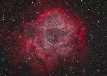 ロゼット星雲、 NGC 2244、 モノセロ、 h ii地域、 分子雲、 オープンクラスター、 深宇宙、 天体写真、 天体、 スターフィールド、 星雲