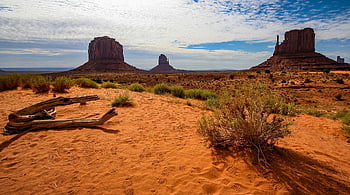 Arizona, nuvole, albero morto, deserto, natura, erosione, impronte, geologia, paesaggio, valle del monumento, a distanza