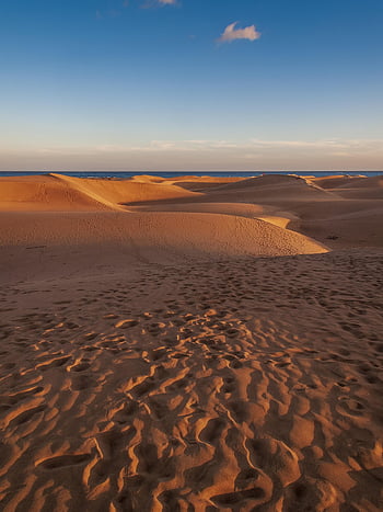 gran canaria, Kanárské ostrovy, Španělsko, maspalomas, el oáza, duny, poušť, písek, západ slunce