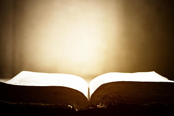 rezervovat, stránek, otevřená kniha, text, znalost, bible, uctívání, khmer