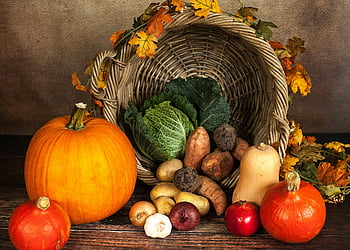 verdura, colture, cestino versato, verdure autunnali, cornucopia, raccogliere, prodotti freschi, rustico, raccolta autunnale, abbondanza, zucche