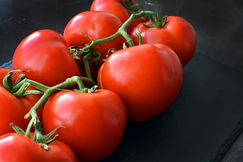 pomodori, pomodori rossi, fresco, produrre, raccogliere, biologico, pomodori freschi, verdure fresche, verdure, cibo, ingredienti