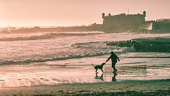 beach, man, dog, silhouette, castle, happy, pet, play, fun, leisure, animal