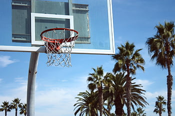 basketball, basketball Hoop, board, backboard, baksetball Ring, game, sport, play, pine Trees, baketball Board, baksetball Equipment