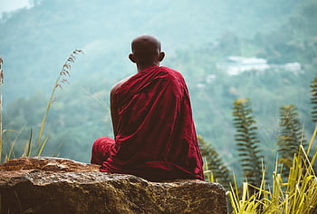 monk, meditation, calm, relax, temple, sri Lankan, yoga, solitude, asian, prayer, faith