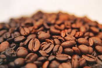 káva, fazole, nápoj, kofein, opečený, aroma, čerstvý, makro, hnědý, napít se