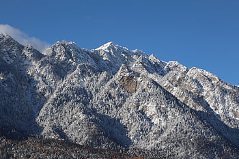 montaña, nieve, bosque, naturaleza, invierno, frío, Grisones
