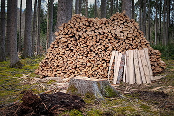 legna, ceppo, violato, mod, sega, mucchio di legno, legna da ardere, tronchi d'albero, fornitura di legno, calore, accatastati