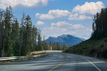 rural, route, paysage, destination, Voyage, conduite, chaussée, asphalte, terrain, la nature, en plein air