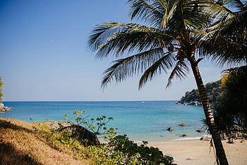 beautiful beach, calm blue waters, serene tropical beach, palm trees, turquoise waters, Phuket, Thailand, beach view, tropical paradise, beach landscape, beach scenery