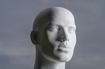 man, head, face, mannequin, model, male, bald, eyes, nose, mouth, human
