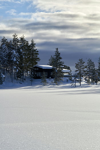 casa coperta di neve, scena invernale, Cabina accogliente, alberi carichi di neve, cielo nuvoloso, paesaggio tranquillo, paesaggio innevato, cabina invernale, alberi innevati, casa d'inverno, scenario invernale