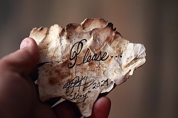 Hand vasthouden papier, oud papier, verfrommeld papier, handgeschreven notitie, schuinschrift, Bruin en wit papier, houd er rekening mee dat, oude noot, verfrommeld briefje, handgeschreven alstublieft, verouderd handschrift