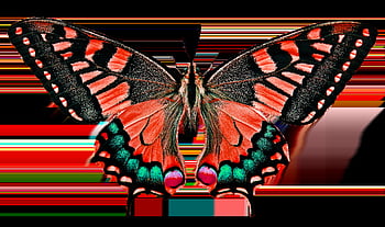 Natur, Tiere, Schmetterling, Insekt, fliegend, Flügel, Sensor, isoliert
