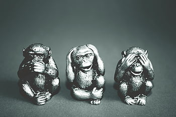 tre scimmie sagge, fotografia in scala di grigi, bianco e nero, non sentire il male, non vedere il male, non dire malvagità, figurine, statue di scimmia, Immagine monocromatica, composizione artistica, rappresentazione simbolica