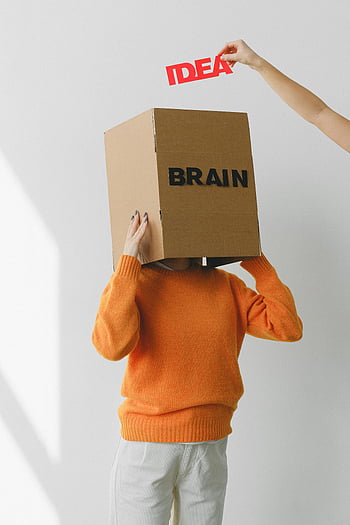 brain, idea, cardboard box, faceless woman, conceptual image, orange sweater, white pants, creative concept, brainstorming, innovation, thought process