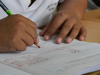 bílý grafický zápisník, matematické rovnice, Psaní studentů, tužka, detail, krytý, notebook, milimetrový papír, vzdělání, studie, domácí práce