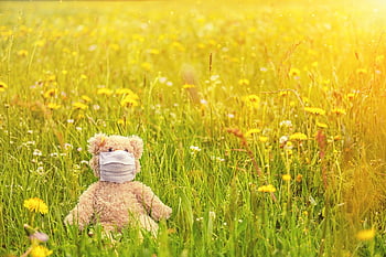 meadow, spring, bloom, pollen, mask, nature, protection, mouth Guard, respiratory Protection, virus, corona