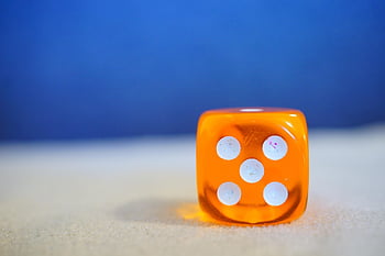 주사위, 경기, 계략, 루도 게임 개발, Ludo Game Development Company, 루도 게임 개발자, 루도 게임 개발 서비스