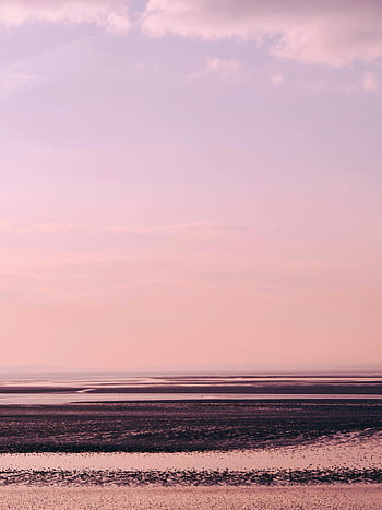 mudflat, pastel sky, twilight, tranquil view, coastal landscape, wetland, natural scenery, serene environment, evening light, tidal flat, peaceful scene