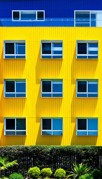 yellow and blue facade, modern urban residential building, colorful building, yellow building, blue building, city residential building, urban architecture, modern architecture, building facade, residential architecture, colorful facade