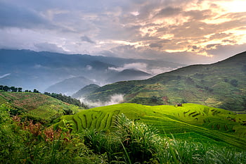 groene bergen, rijstvelden, avondlucht, schilderachtig landschap, weelderige groene terrasvormige velden, uitzicht op het platteland, mistig landschap, Adembenemend uitzicht, landelijk landschap, Wordtraine rijstvelden, zonsondergang landschap
